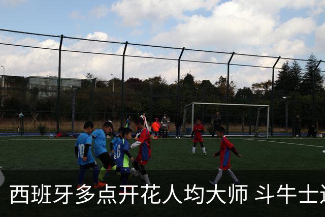 西班牙多点开花人均大师 斗牛士连两年半决赛击败法国